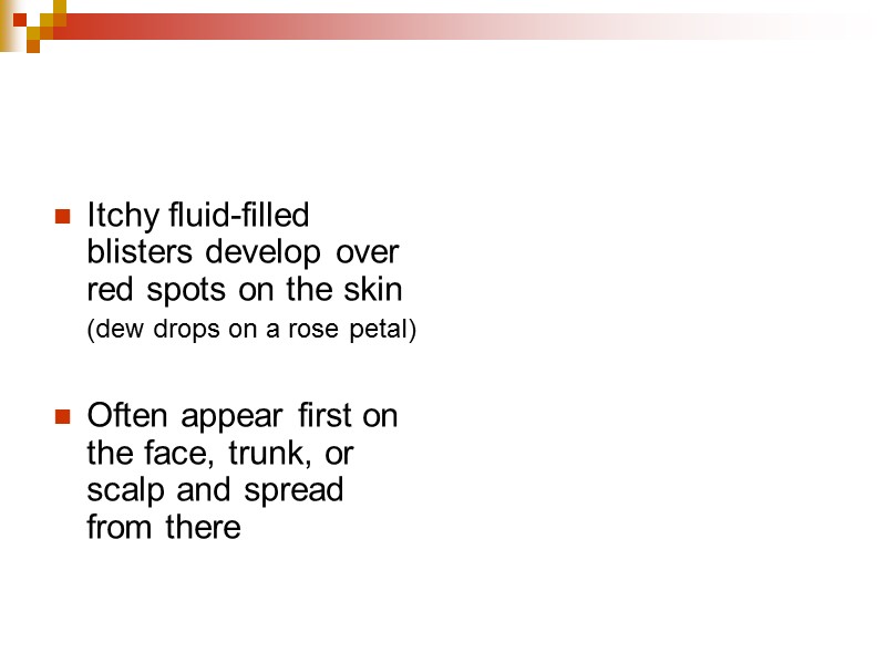 Itchy fluid-filled blisters develop over red spots on the skin   (dew drops